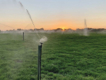 Sensible Choices About Water