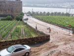 More than two tonnes of topsoil were lost during a heavy rain event at Kloster Eberbach vineyards last year. 