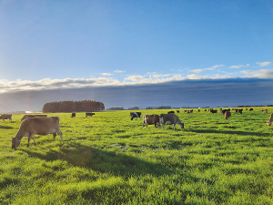 A new farmer movement is set to launch very soon and will be pushing for a different approach to tackling on-farm emissions.