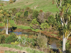 New Research Shows Good Farming Practices Reducing Nutrient Losses on Dairy Farms