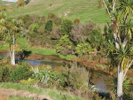 New Research Shows Good Farming Practices Reducing Nutrient Losses on Dairy Farms