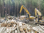 By all accounts many forestry owners go bush when it comes to paying for the damage and cost incurred on their pastoral neighbours.