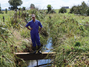 Changing Drains Into Ecosystems