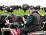 How Nedap Collars Help One NZ Dairy Farmer Become Data-Driven