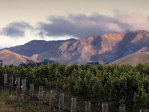 Tohu Whenua Awa, Awatere Valley