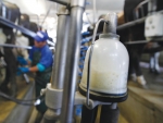 Plan new dairy well to save time, money