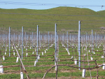 Hawke’s Bay growers are being reminded of the conditions they could face depending on how severe this El Niño might be.