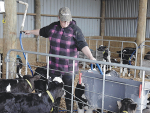Cambridge farmer Ashlea Kowalski believes strategies that reduce farmer injuries during the calving season are low cost and easily adopted.
