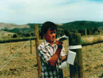 Ed Donaldson painting vineyard posts in 1987.