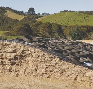 Building resilient dairy farm systems