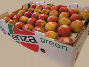 T&amp;G wants to offload its fruit processing business, ENZA Foods.