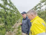 Murray Turley, right, with his company agronomist Dominic Cosgrove in their small trial orchard where they will continue to test other varieties and management methods as the company branches into apple production. Photo Credit: Nigel Malthus