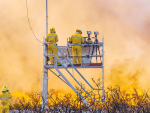 Experimental research burns near Christchurch will test new theories on how wildfires spread under various conditions.