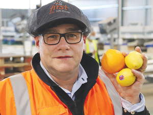 Citrus NZ urges Kiwis to support local growers