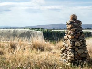 The big dry continued for Central Otago this growing season, with some saying it is the driest period in 39 years. 