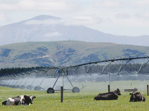 The Government is injecting $10.6 million towards a water storage facility in Raukokore, in the eastern Bay of Plenty.
