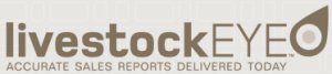 SALEYARD REPORT | Feilding store cattle report