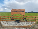 Torlesse Farm, Waimakariri, runs about 1,700 dairy cows on 450ha and another 400ha are split between dairy support and beef grazing.