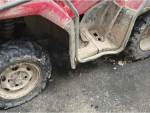 Federated Farmers: Farming sector failing to tackle quad bike safety