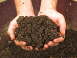 New Earthworm Soil Test Reveals Vineyard Soil Health in New Zealand