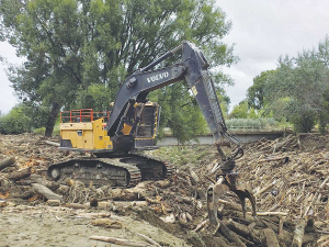 Claims are being made that current forestry harvesting practices are having a detrimental effect on downstream catchments and communities. Photo Credit: Eastland Wood Council