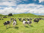 The Methane Science Accord is backed by a number of prominent farmers and others.