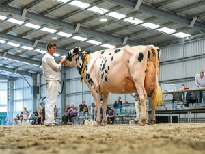 Charbelle Holsteins mother-daughter duo crowned champions