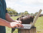 LIC says that by leveraging richer animal data in MINDA, it’s helping farmers maximise the genetic potential of their herds.