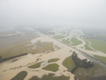 Some damage on farms will be permanent and some of it will take years to heal.