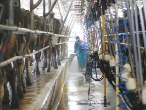 The time is right to enter the dairy industry as a sharemilker, says Neil Filer.