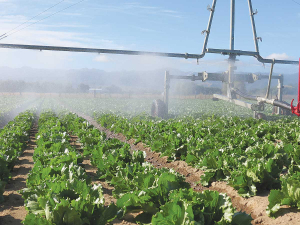Farm Environment Plans (FEPs) are now recognised in legislation as a way for growers to assess their environmental risks and take action in regards to areas like irrigation.