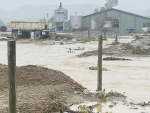 A flood-ravaged cow shed in Inangahua Valley, West Coast.