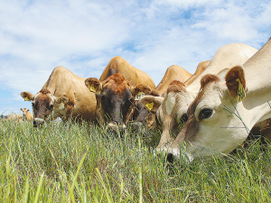 Any kind of farm or grazing-based business can benefit from pasture renewal.