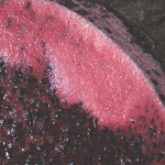 Winemaking practices on colour, phenolics