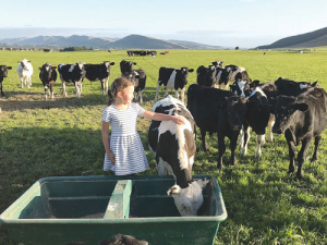 Ben Walling and Sarah Flintoft’s daughter Grace with animals yet to be culled on their M. bovis-infected farm at Lumsden.
