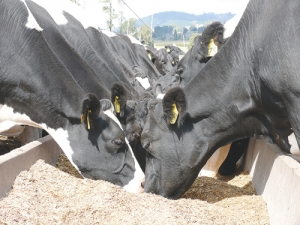 feed to yield practice thrown into doubt