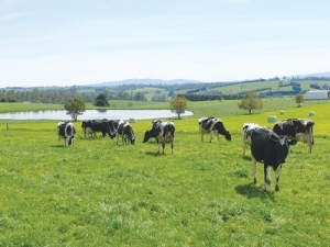 The field day will focus on helping farmers manage through dry periods with a view to setting up for next season.