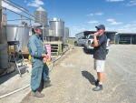 Serratia-linked Mastitis a wake-up call for Waikato farmer