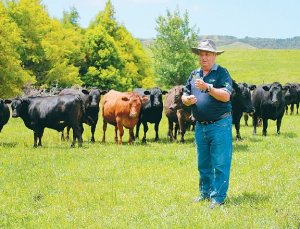 Mixed pasture pleases
