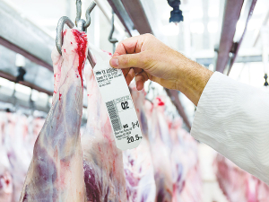New Zealand red meat exports hit a record in April.