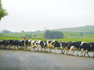 Moving Day for stock starts from 1 June and continues for several weeks.