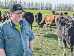 Dairy conversions surge but no return to the heady days