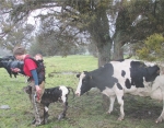 App gives farmers more insight