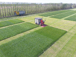 PBRA ryegrass trials:  The New Zealand Plant Breeders Research Association collectively runs independently-audited cultivar testing programmes to ensure farmers have the best plant genetics available to them.