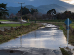Natural and man-made disasters have made resilience a core part of how the agribusiness sector operates.