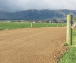 Keep cows on the right tracks
