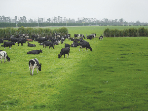 Australian states embrace virtual fencing, creating growth opportunities for Halter