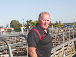 Bill Sweeney says that farmers are now well accustomed to having choice when it comes to selling or buying livestock.