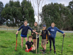Halcombe School Agrikids, planting trees.