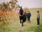 One-horsepower solution